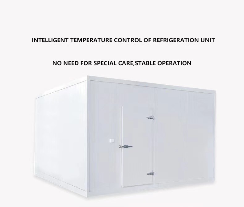 Custom Sizes Available Container Cold Room with Cold Room Panel For ...