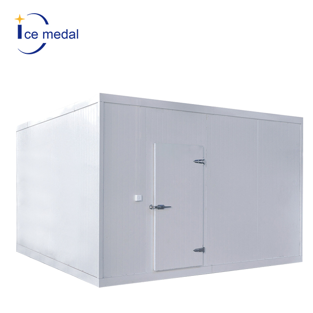 Icemedal Walk in Freezer 20ft Container Cold Room Container Chambre Froide for Sale