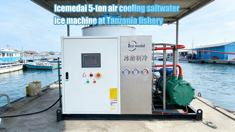 Icemedal 5 Tons Air Cooling Saltwater Ice Machine Helps Tanzania Coastal Fisheries Development