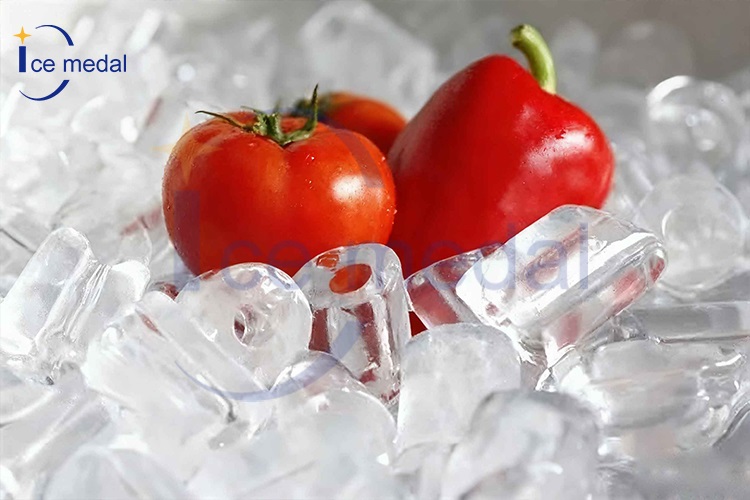 tube ice for food processing 