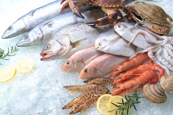 Flake Ice for Aquatic Products