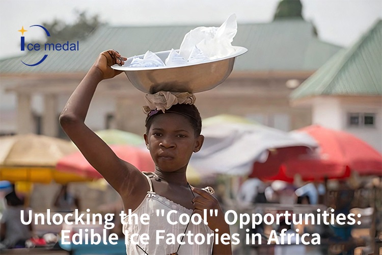 Unlocking The "Cool" Opportunities: Edible Ice Factories in Africa