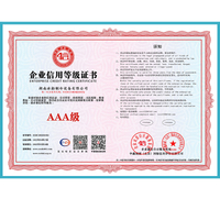  Credit rating certificate of Icemedal 