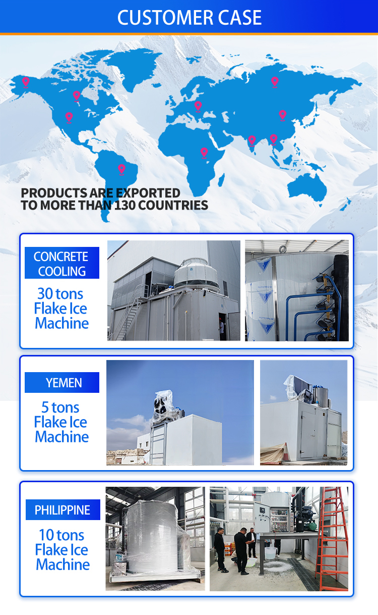 flake ice machine case