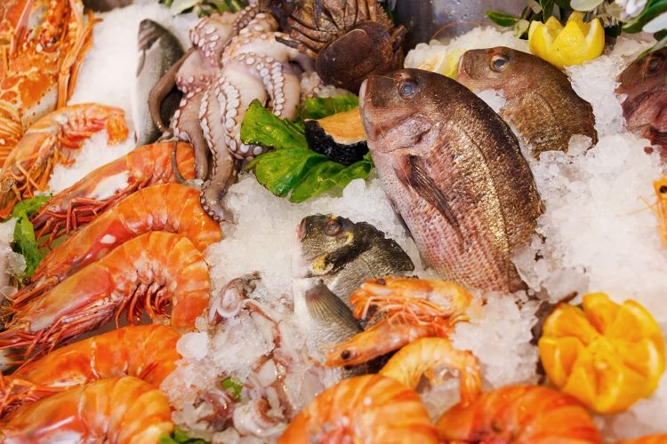 flake ice machine for seafood