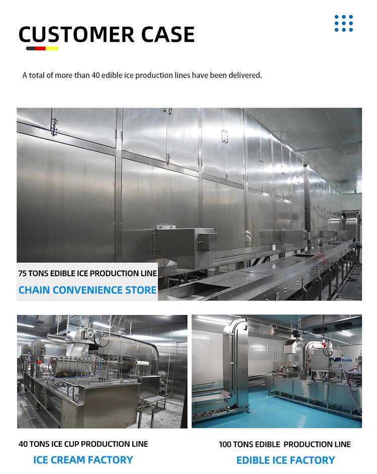 Automatic Edible Ice Factory Solution