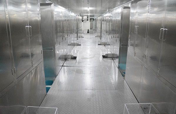 100tons edible ice plant