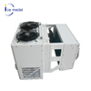 Icemedal Customized Easy Disassembly Freezers and Cold Rooms Freezing Room Cold Storage Cold Room Refrigeration Unit