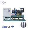 IMB20 20 Tons Per Day Industrial Customized Salt Water Block Ice Machine