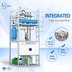 Customized Large Capacity Tube Ice Making Machine 10-30 Tons Philippines for Ice Factory