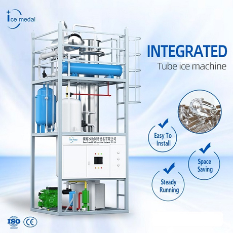 Customized Large Capacity Tube Ice Making Machine 10-30 Tons Philippines for Ice Factory