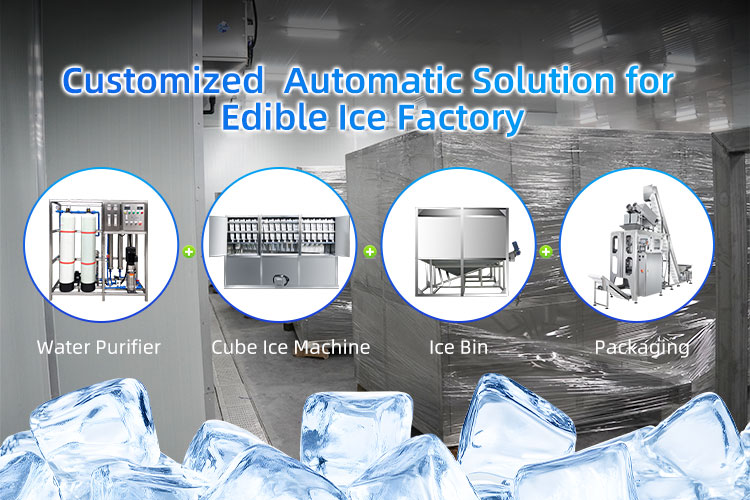 Icemedal Customized Automatic Solution for Edible Ice Factory