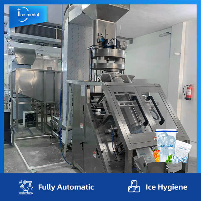 Full Automatic Cube Ice Production Line With Packing System For Ice Factory