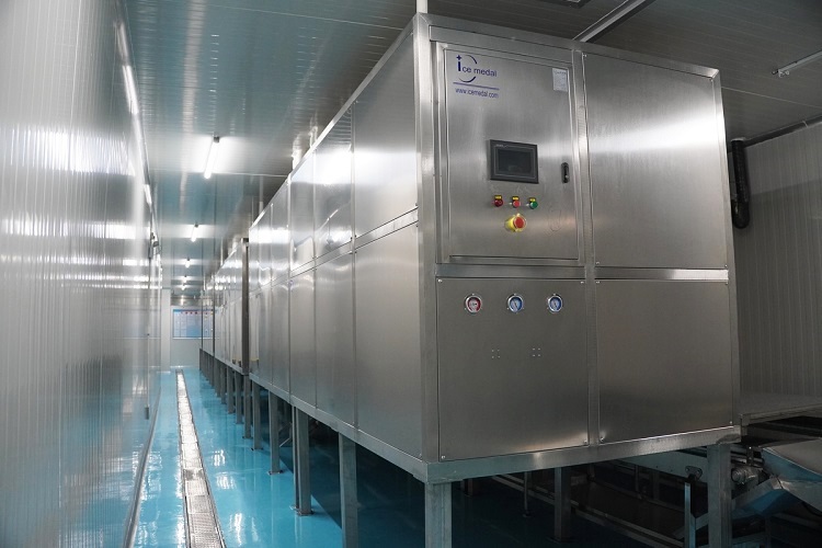 automatic ice plant