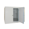 Icemedal Custom Sizes Available Container Cold Room with Cold Room Panel For Meat And Fish Walk in Freezer