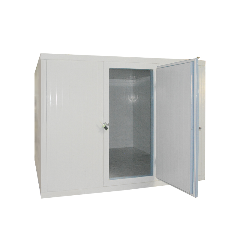 Icemedal Custom Sizes Available Container Cold Room with Cold Room Panel For Meat And Fish Walk in Freezer