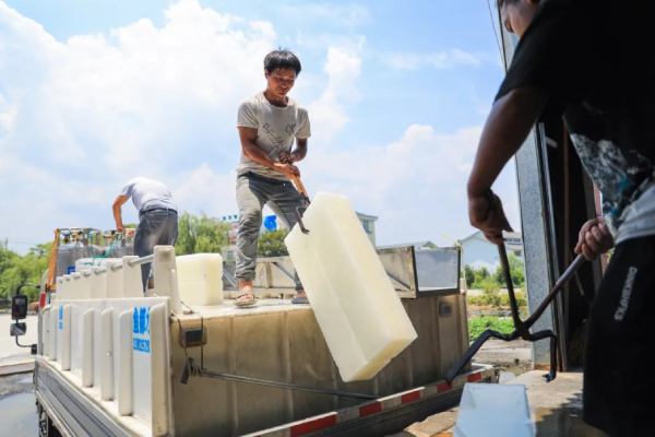  Block Ice for Wholesale 