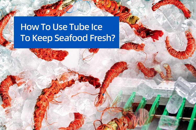 How To Use Tube Ice To Keep Seafood Fresh?