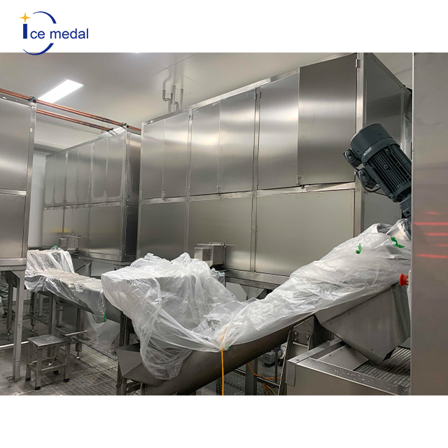 Professional Cube Ice Production Line Manufacturer for Ice Factory