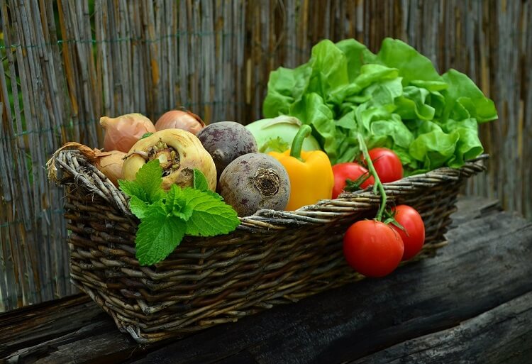 tube ice for food preservation