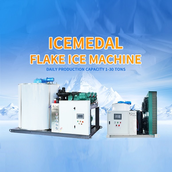 Common Problem And Maintenance of Flake Ice Machine