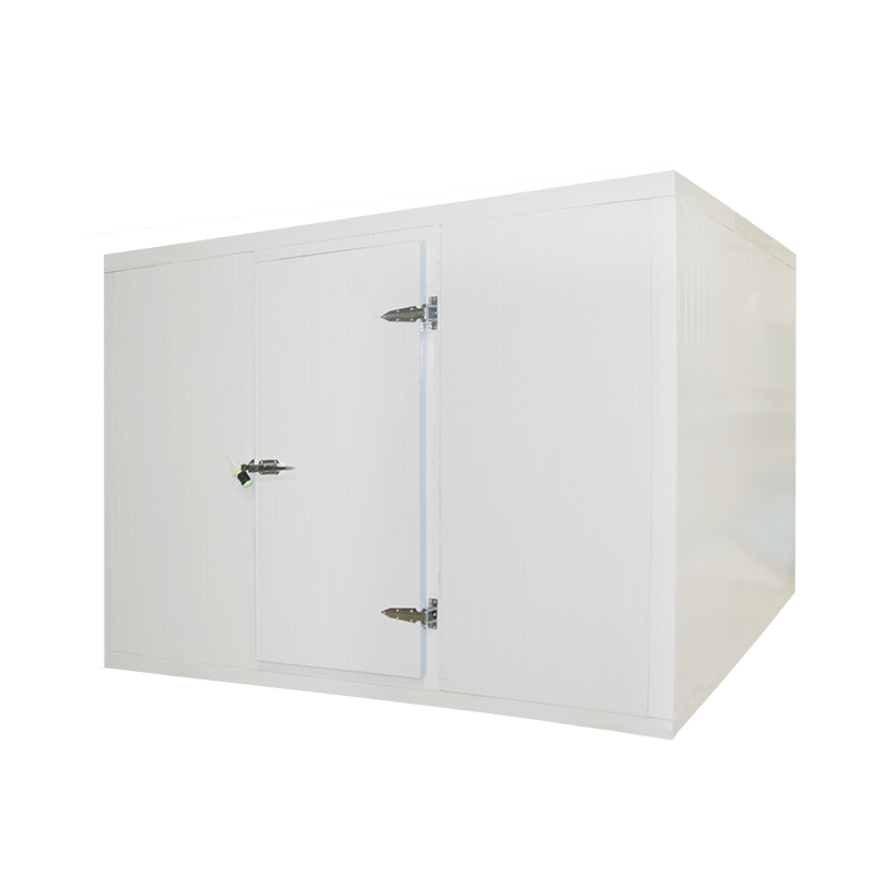 Icemedal Custom Sizes Available Container Cold Room with Cold Room Panel For Meat And Fish Walk in Freezer