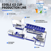 Automated Edible Ice Plant Flowchart