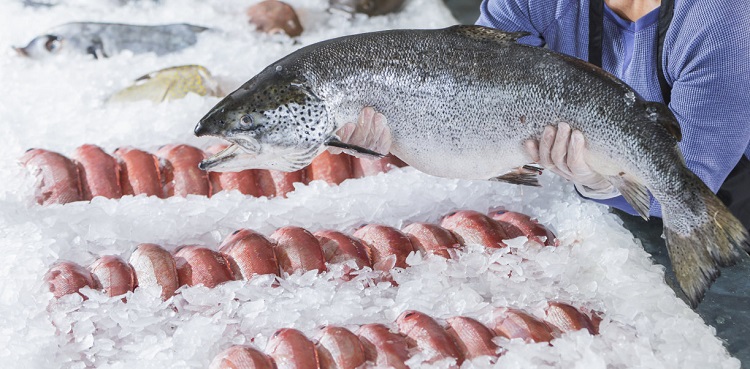 Flake ice for seafood preservation