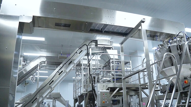 Icemedal ice conveyor and packaging system in ice factory