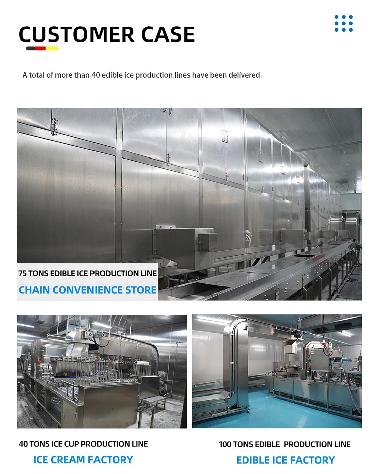 Edible Ice Production Line Customer Cases, 75T 40T 100T Commercial Ice Making Projects.webp