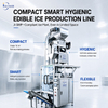 Automatic 5 tons per day edible ice production line with custom packaging options