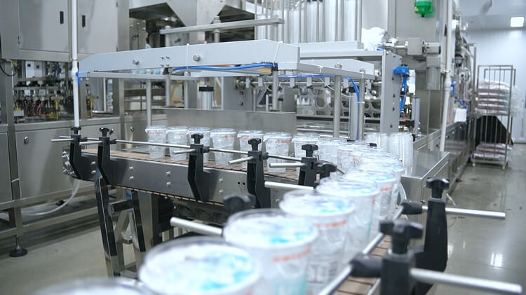 Icemedal cup ice packing production line in ice factory